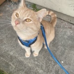 Meet your Posher, Mindy